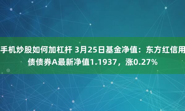 手机炒股如何加杠杆 3月25日基金净值：东方红信用债债券A最新净值1.1937，涨0.27%