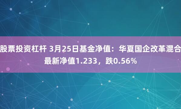股票投资杠杆 3月25日基金净值：华夏国企改革混合最新净值1.233，跌0.56%