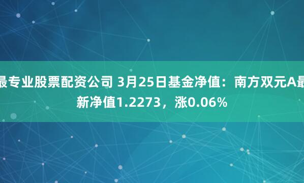 最专业股票配资公司 3月25日基金净值：南方双元A最新净值1.2273，涨0.06%