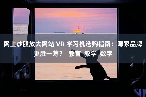 网上炒股放大网站 VR 学习机选购指南：哪家品牌更胜一筹？_教育_教学_数字