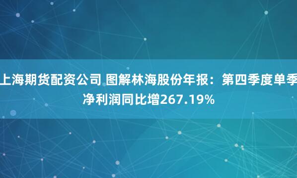 上海期货配资公司 图解林海股份年报：第四季度单季净利润同比增267.19%