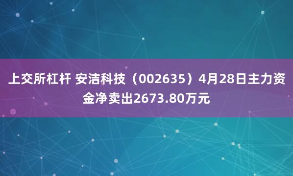 上交所杠杆 安洁科技（002635）4月28日主力资金净卖出2673.80万元
