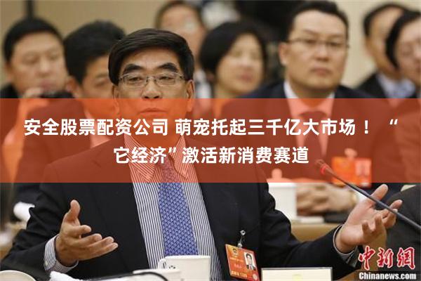 安全股票配资公司 萌宠托起三千亿大市场 ！ “它经济”激活新消费赛道