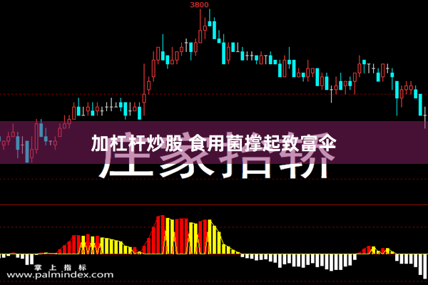 加杠杆炒股 食用菌撑起致富伞