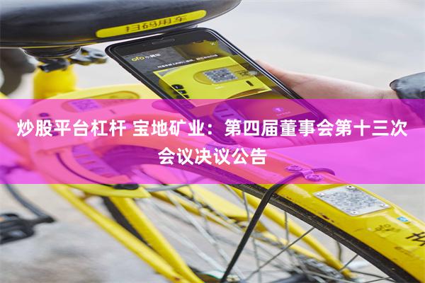炒股平台杠杆 宝地矿业：第四届董事会第十三次会议决议公告