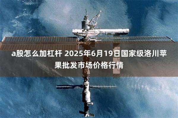 a股怎么加杠杆 2025年6月19日国家级洛川苹果批发市场价格行情