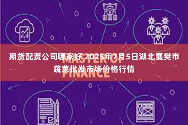 期货配资公司哪家好 2025年7月5日湖北襄樊市蔬菜批发市场价格行情