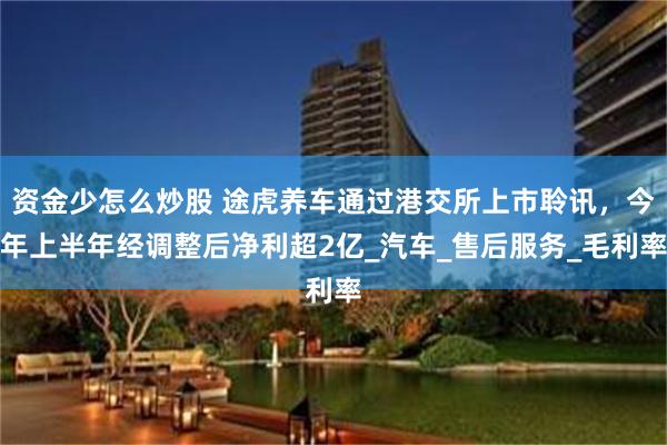 资金少怎么炒股 途虎养车通过港交所上市聆讯，今年上半年经调整后净利超2亿_汽车_售后服务_毛利率